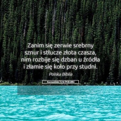Picture 05 - Kaznodziei 12:6 POLUBG - Zanim się zerwie srebrny sznur i stłucze złota - Bible Verse Picture