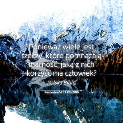 Picture 05 - Kaznodziei 6:11 POLUBG - Ponieważ wiele jest rzeczy, które pomnażają - Bible Verse Picture