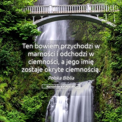 Picture 05 - Kaznodziei 6:4 POLUBG - Ten bowiem przychodzi w marności i odchodzi w - Bible Verse Picture