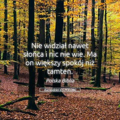 Picture 05 - Kaznodziei 6:5 POLUBG - Nie widział nawet słońca i nic nie wie. Ma on - Bible Verse Picture
