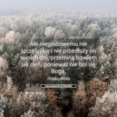 Picture 05 - Kaznodziei 8:13 POLUBG - Ale niegodziwemu nie szczęści się i nie - Bible Verse Picture