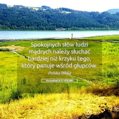 Picture 05 - Kaznodziei 9:17 POLUBG - Spokojnych słów ludzi mądrych należy - Bible Verse Picture