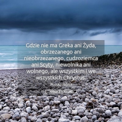 Picture 05 - Kolosan 3:11 POLUBG - Gdzie nie ma Greka ani Żyda, obrzezanego ani - Bible Verse Picture