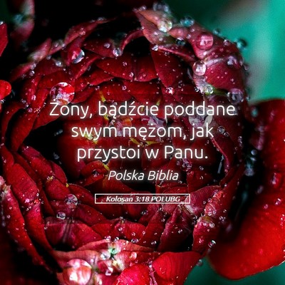 Picture 05 - Kolosan 3:18 POLUBG - Żony, bądźcie poddane swym mężom, jak - Bible Verse Picture