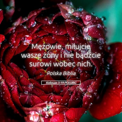 Picture 05 - Kolosan 3:19 POLUBG - Mężowie, miłujcie wasze żony i nie bądźcie - Bible Verse Picture
