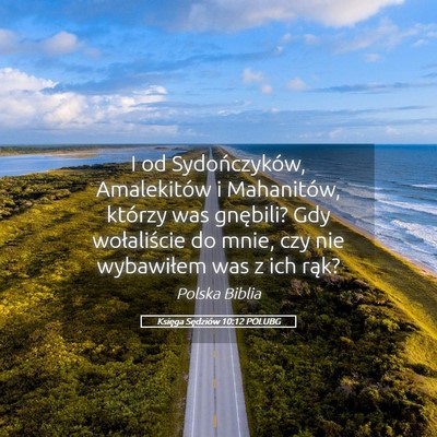 Picture 05 - Księga Sędziów 10:12 POLUBG - I od Sydończyków, Amalekitów i Mahanitów, - Bible Verse Picture