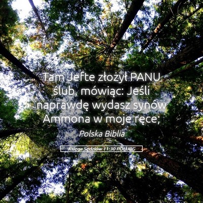 Picture 05 - Księga Sędziów 11:30 POLUBG - Tam Jefte złożył PANU ślub, mówiąc: Jeśli - Bible Verse Picture