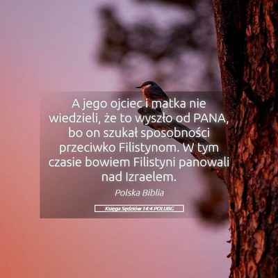 Picture 05 - Księga Sędziów 14:4 POLUBG - A jego ojciec i matka nie wiedzieli, że to - Bible Verse Picture