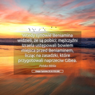 Picture 05 - Księga Sędziów 20:36 POLUBG - Wtedy synowie Beniamina widzieli, że są pobici; - Bible Verse Picture