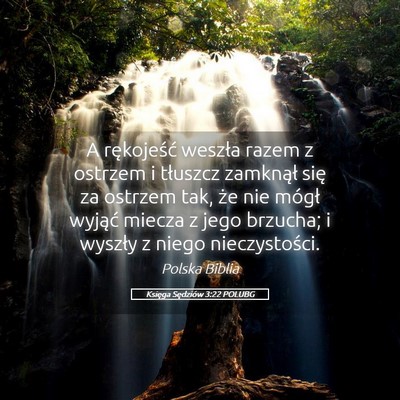 Picture 05 - Księga Sędziów 3:22 POLUBG - A rękojeść weszła razem z ostrzem i tłuszcz - Bible Verse Picture