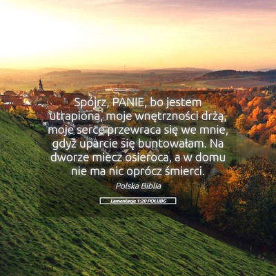 Picture 05 - Lamentacje 1:20 POLUBG - Spójrz, PANIE, bo jestem utrapiona, moje - Bible Verse Picture