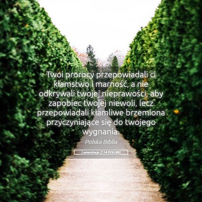 Picture 05 - Lamentacje 2:14 POLUBG - Twoi prorocy przepowiadali ci kłamstwo i - Bible Verse Picture