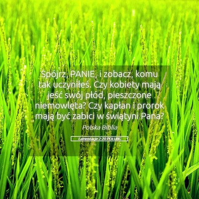Picture 05 - Lamentacje 2:20 POLUBG - Spójrz, PANIE, i zobacz, komu tak uczyniłeś. - Bible Verse Picture