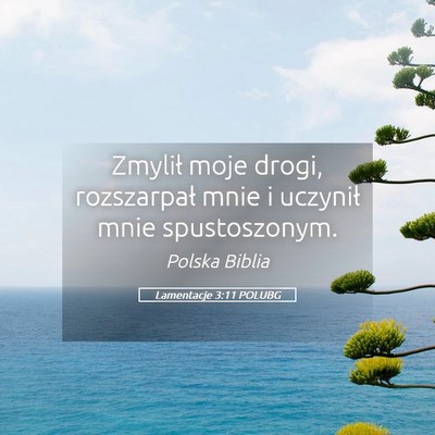 Picture 05 - Lamentacje 3:11 POLUBG - Zmylił moje drogi, rozszarpał mnie i uczynił - Bible Verse Picture