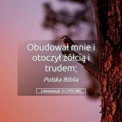 Picture 05 - Lamentacje 3:5 POLUBG - Obudował mnie i otoczył żółcią i - Bible Verse Picture