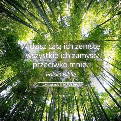 Picture 05 - Lamentacje 3:60 POLUBG - Widzisz całą ich zemstę i wszystkie ich - Bible Verse Picture