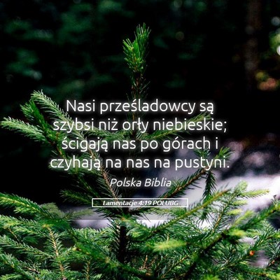 Picture 05 - Lamentacje 4:19 POLUBG - Nasi prześladowcy są szybsi niż orły - Bible Verse Picture