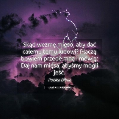 Picture 05 - Liczb 11:13 POLUBG - Skąd wezmę mięso, aby dać całemu temu - Bible Verse Picture