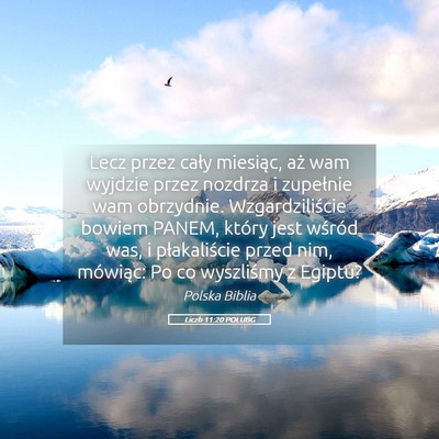Picture 05 - Liczb 11:20 POLUBG - Lecz przez cały miesiąc, aż wam wyjdzie przez - Bible Verse Picture
