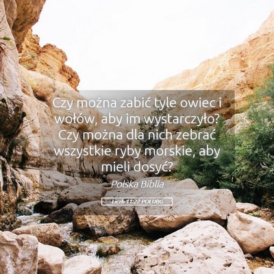Picture 05 - Liczb 11:22 POLUBG - Czy można zabić tyle owiec i wołów, aby im - Bible Verse Picture