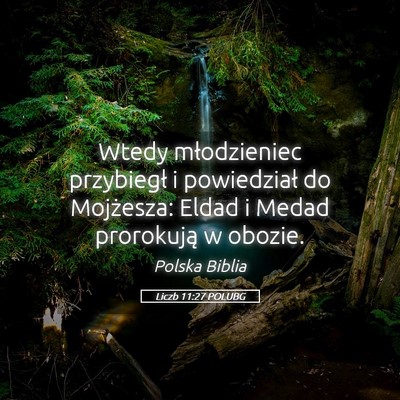 Picture 05 - Liczb 11:27 POLUBG - Wtedy młodzieniec przybiegł i powiedział do - Bible Verse Picture