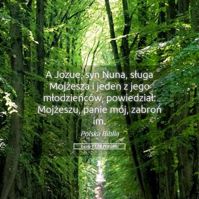 Picture 05 - Liczb 11:28 POLUBG - A Jozue, syn Nuna, sługa Mojżesza i jeden z - Bible Verse Picture