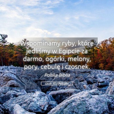 Picture 05 - Liczb 11:5 POLUBG - Wspominamy ryby, które jedliśmy w Egipcie za - Bible Verse Picture