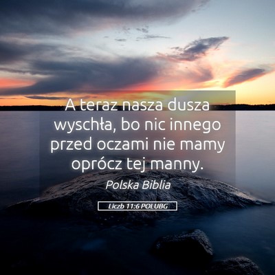 Picture 05 - Liczb 11:6 POLUBG - A teraz nasza dusza wyschła, bo nic innego przed - Bible Verse Picture