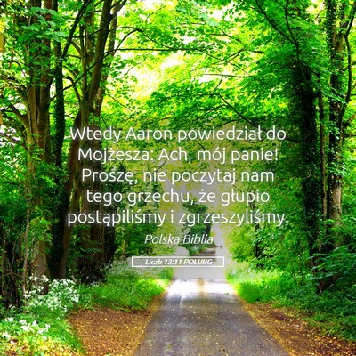 Picture 05 - Liczb 12:11 POLUBG - Wtedy Aaron powiedział do Mojżesza: Ach, mój - Bible Verse Picture
