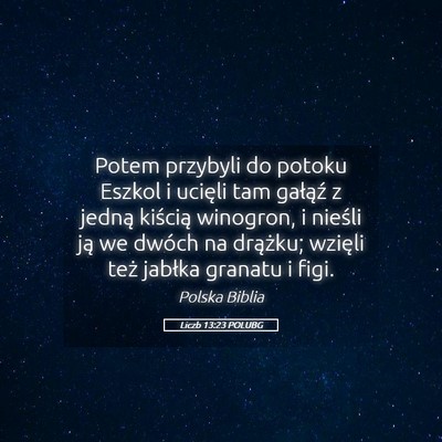 Picture 05 - Liczb 13:23 POLUBG - Potem przybyli do potoku Eszkol i ucięli tam - Bible Verse Picture
