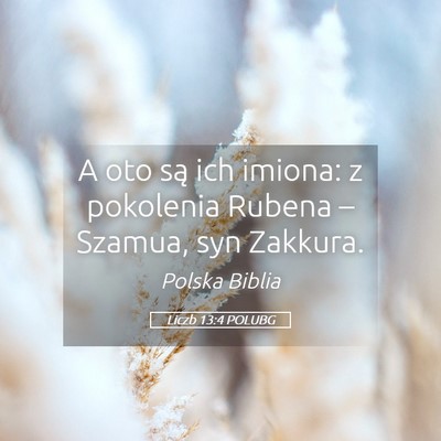 Picture 05 - Liczb 13:4 POLUBG - A oto są ich imiona: z pokolenia Rubena – - Bible Verse Picture