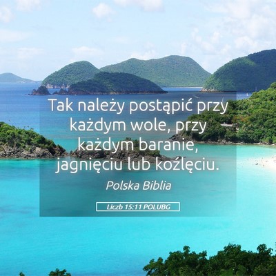 Picture 05 - Liczb 15:11 POLUBG - Tak należy postąpić przy każdym wole, przy - Bible Verse Picture