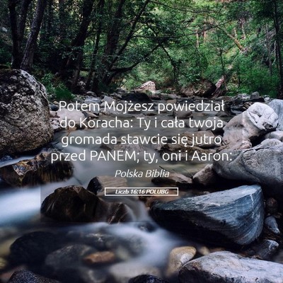 Picture 05 - Liczb 16:16 POLUBG - Potem Mojżesz powiedział do Koracha: Ty i cała - Bible Verse Picture