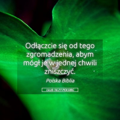 Picture 05 - Liczb 16:21 POLUBG - Odłączcie się od tego zgromadzenia, abym - Bible Verse Picture