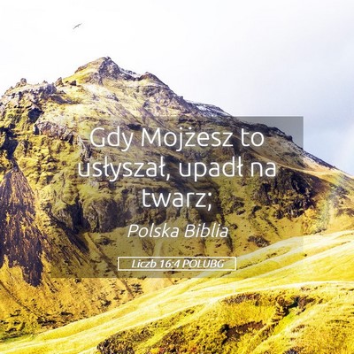 Picture 05 - Liczb 16:4 POLUBG - Gdy Mojżesz to usłyszał, upadł na - Bible Verse Picture