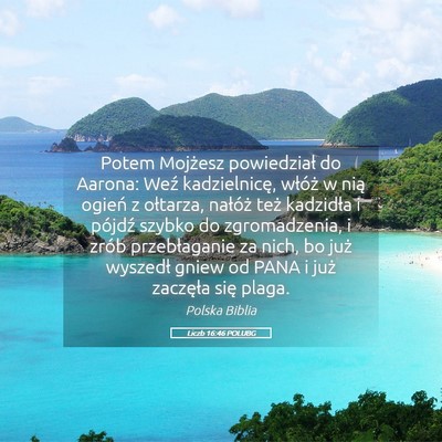 Picture 05 - Liczb 16:46 POLUBG - Potem Mojżesz powiedział do Aarona: Weź - Bible Verse Picture