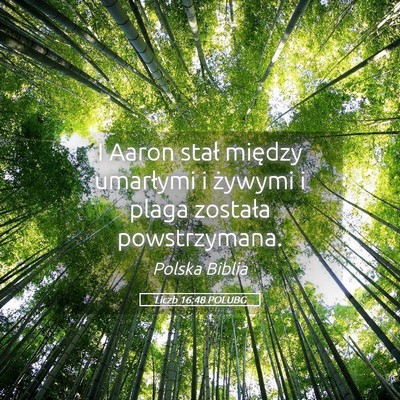 Picture 05 - Liczb 16:48 POLUBG - I Aaron stał między umarłymi i żywymi i plaga - Bible Verse Picture