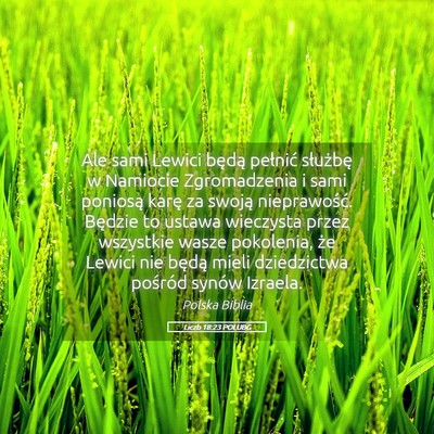 Picture 05 - Liczb 18:23 POLUBG - Ale sami Lewici będą pełnić służbę w - Bible Verse Picture