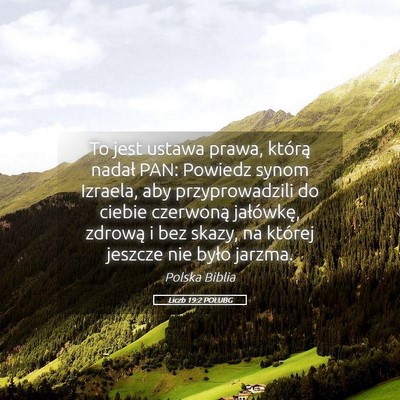 Picture 05 - Liczb 19:2 POLUBG - To jest ustawa prawa, którą nadał PAN: Powiedz - Bible Verse Picture