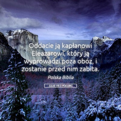 Picture 05 - Liczb 19:3 POLUBG - Oddacie ją kapłanowi Eleazarowi, który ją - Bible Verse Picture