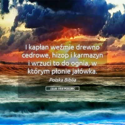 Picture 05 - Liczb 19:6 POLUBG - I kapłan weźmie drewno cedrowe, hizop i - Bible Verse Picture