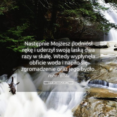 Picture 05 - Liczb 20:11 POLUBG - Następnie Mojżesz podniósł rękę i uderzył - Bible Verse Picture