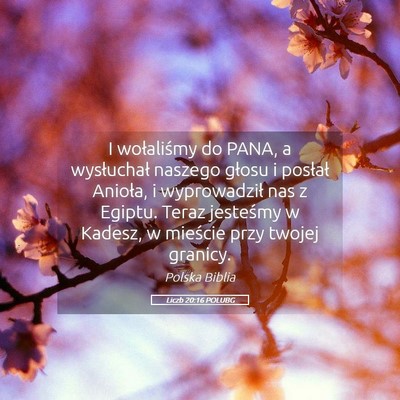 Picture 05 - Liczb 20:16 POLUBG - I wołaliśmy do PANA, a wysłuchał naszego - Bible Verse Picture