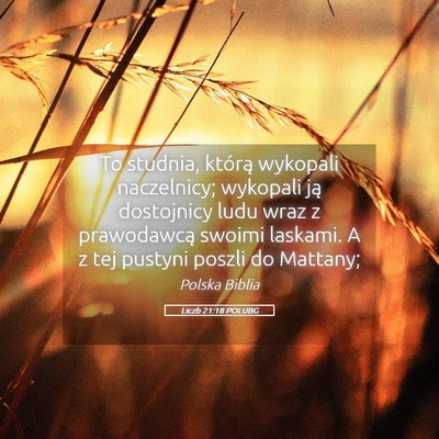 Picture 05 - Liczb 21:18 POLUBG - To studnia, którą wykopali naczelnicy; wykopali - Bible Verse Picture