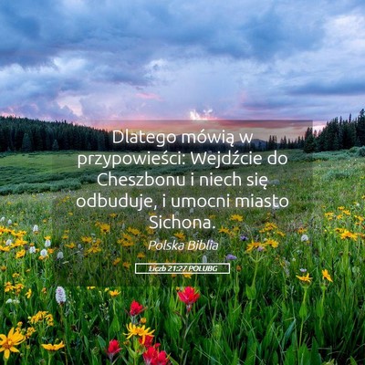Picture 05 - Liczb 21:27 POLUBG - Dlatego mówią w przypowieści: Wejdźcie do - Bible Verse Picture