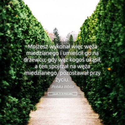 Picture 05 - Liczb 21:9 POLUBG - Mojżesz wykonał więc węża miedzianego i - Bible Verse Picture