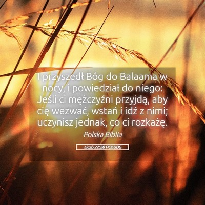 Picture 05 - Liczb 22:20 POLUBG - I przyszedł Bóg do Balaama w nocy, i - Bible Verse Picture