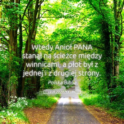 Picture 05 - Liczb 22:24 POLUBG - Wtedy Anioł PANA stanął na ścieżce między - Bible Verse Picture