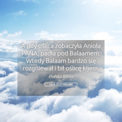 Picture 05 - Liczb 22:27 POLUBG - A gdy oślica zobaczyła Anioła PANA, padła pod - Bible Verse Picture