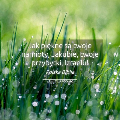 Picture 05 - Liczb 24:5 POLUBG - Jak piękne są twoje namioty, Jakubie, twoje - Bible Verse Picture
